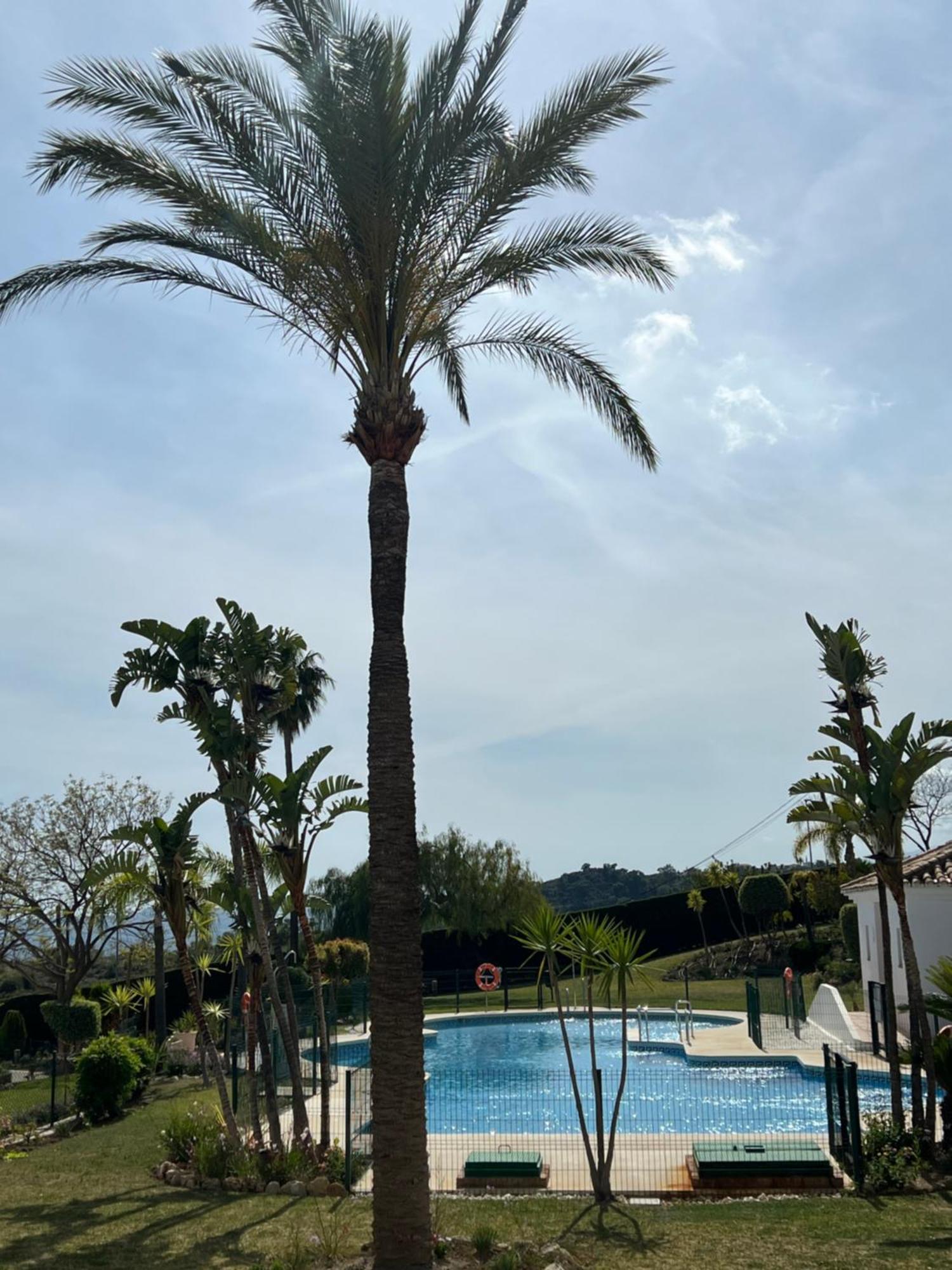 Finca San Antonio Two Bedroom Apartment With Swimming Pool Mijas Zewnętrze zdjęcie